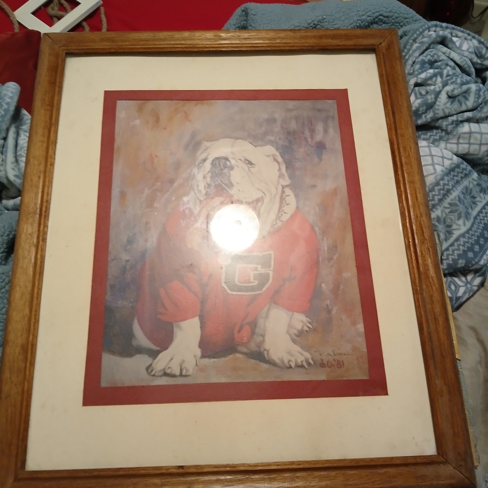 GA BULLDOGS DRAWING